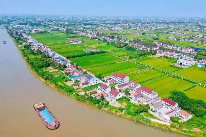 img, img, 五色如皋